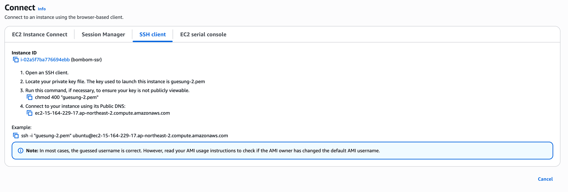 AWS EC2로 SSR 서버 배포하기