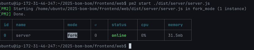 AWS EC2로 SSR 서버 배포하기